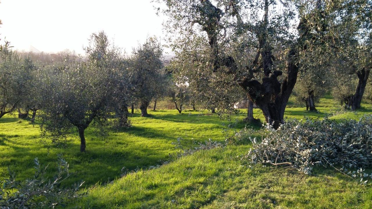 Casa "Il Brio" Βίλα Πιστόια Εξωτερικό φωτογραφία