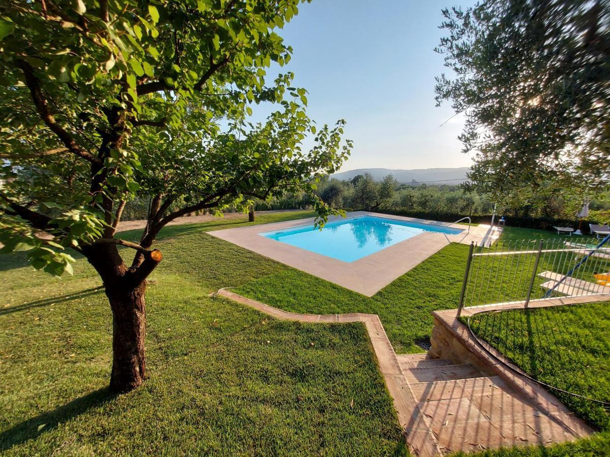 Casa "Il Brio" Βίλα Πιστόια Εξωτερικό φωτογραφία