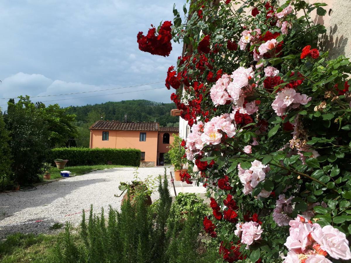 Casa "Il Brio" Βίλα Πιστόια Εξωτερικό φωτογραφία